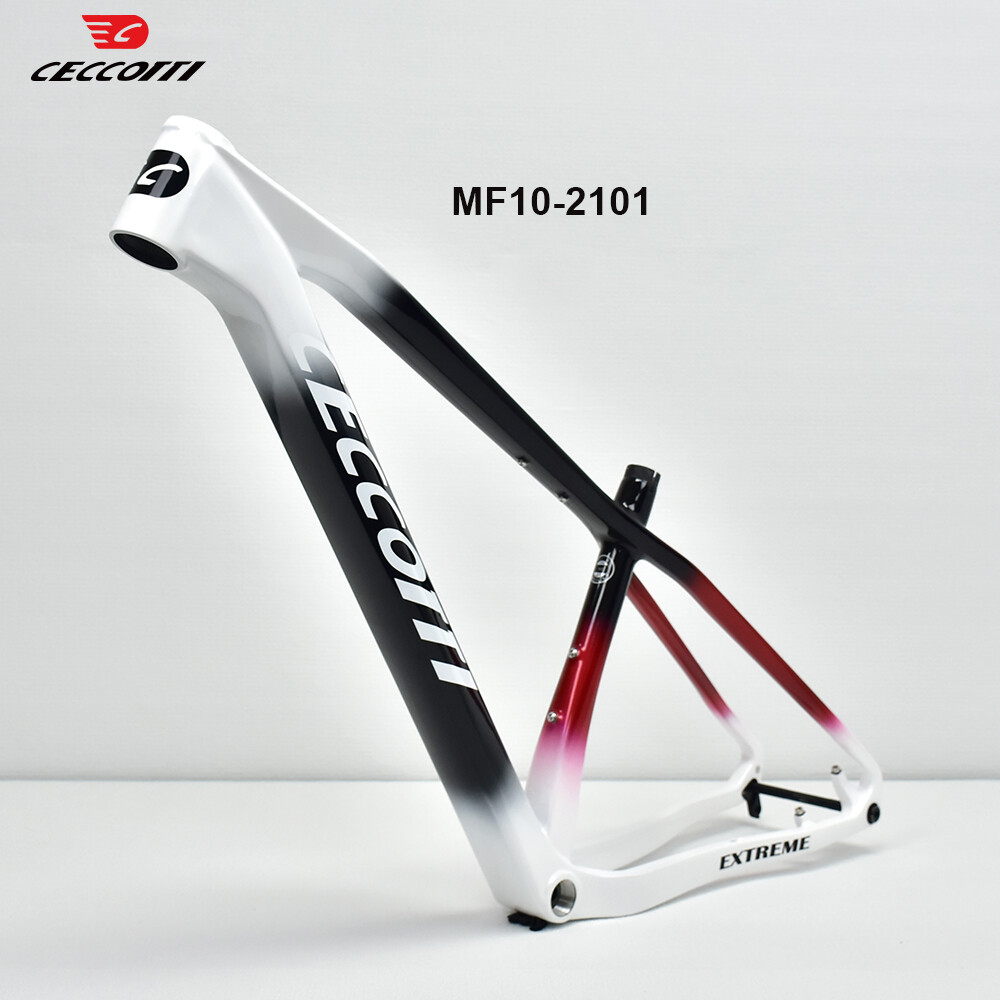 Cadre de vélo VTT CECCOTTI 29e - Mountain Biking In The Uk avis et prix