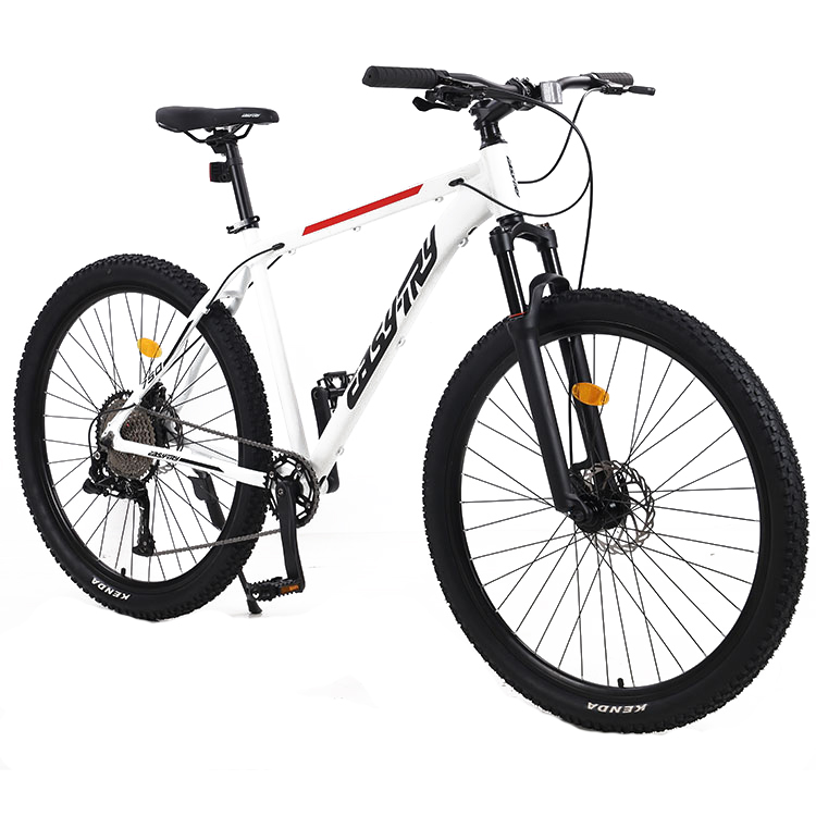 Vélo de montagne 29 pouces en  - Mountain Biking Usa avis et prix