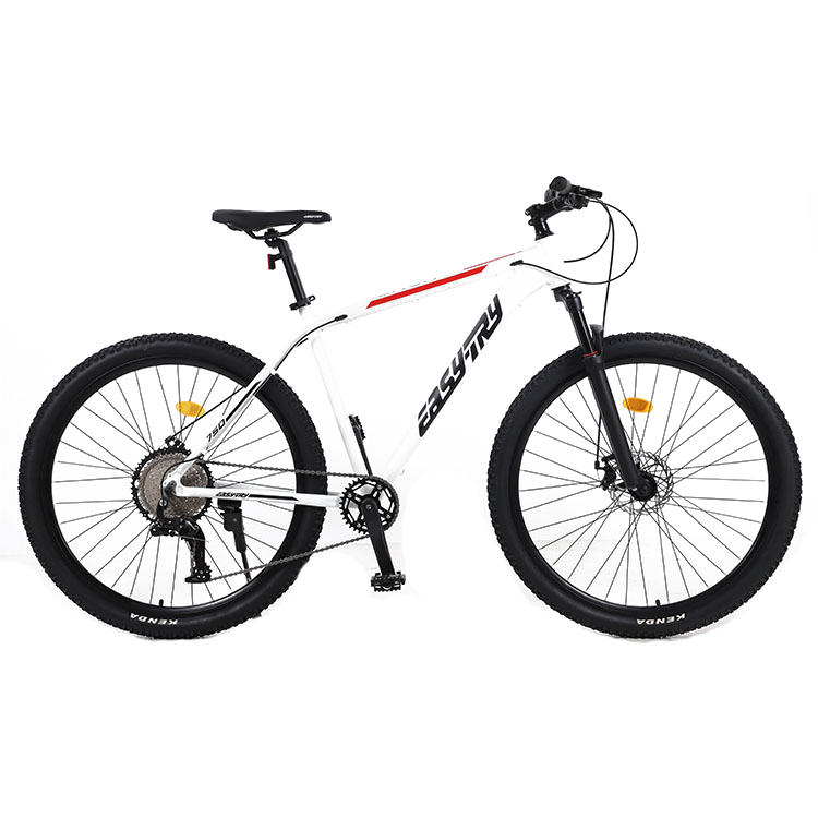 Vélo de montagne 29 pouces en  - Mountain Biking Usa avis et prix