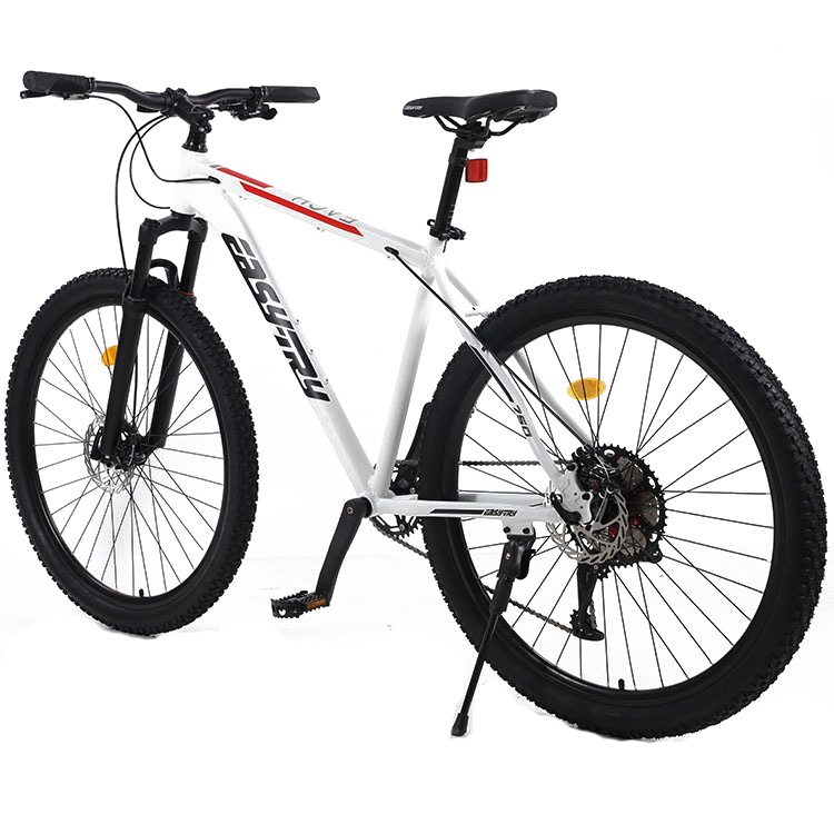 Vélo de montagne 29 pouces en  - Mountain Biking Usa avis et prix