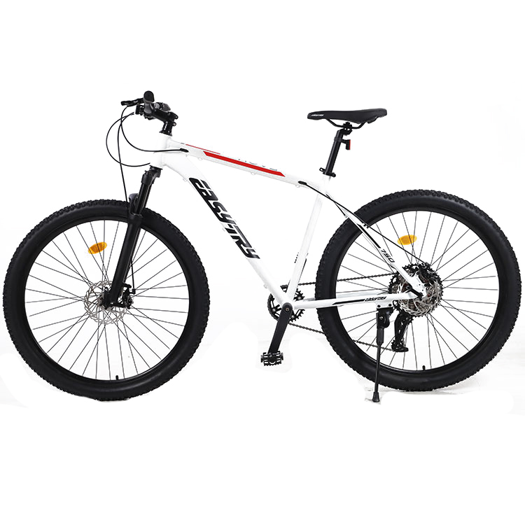 Vélo de montagne 29 pouces en  - Mountain Biking Usa avis et prix