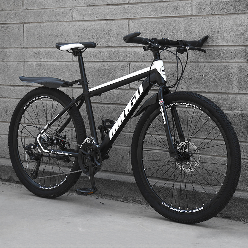 24 26 pouces roues meilleur ad - Mountain Biking Usa avis et prix