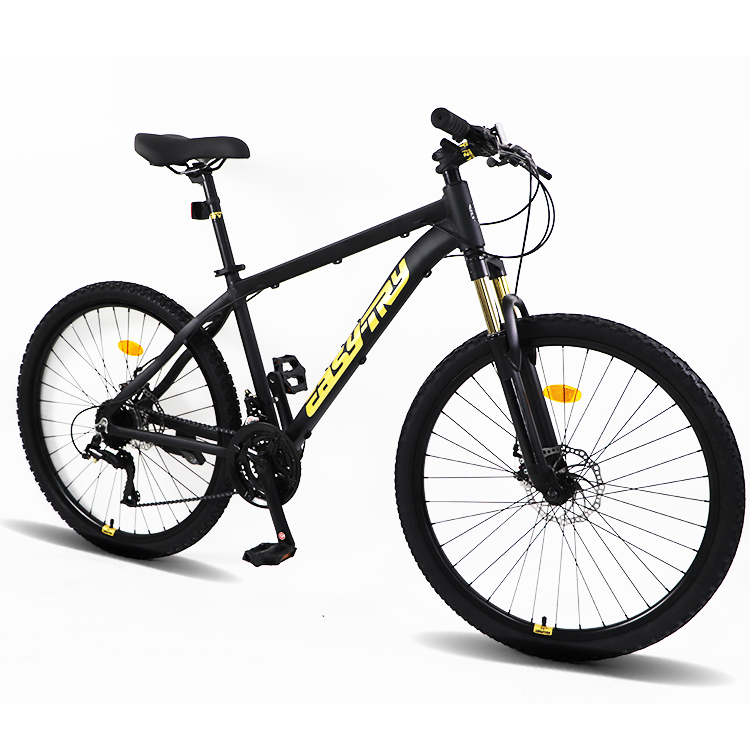Livraison rapide, vélo de mont - Mountain Biking Usa avis et prix