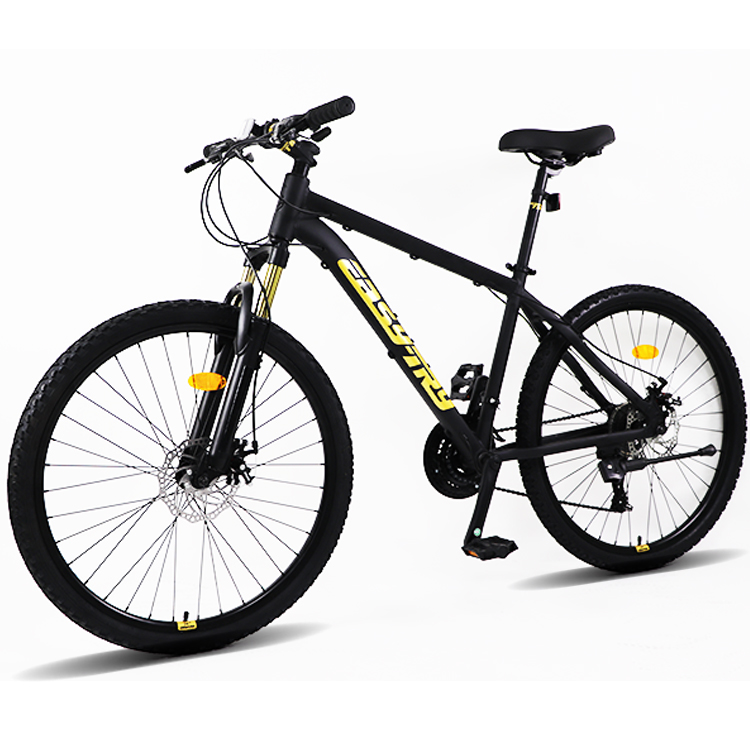 Livraison rapide, vélo de mont - Mountain Biking Usa avis et prix