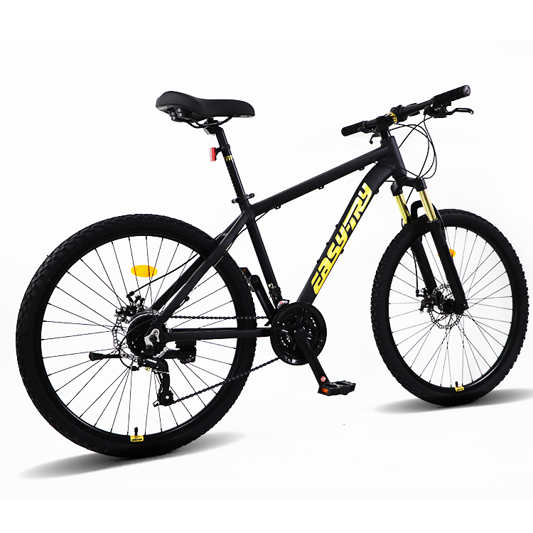 Livraison rapide, vélo de mont - Mountain Biking Usa avis et prix